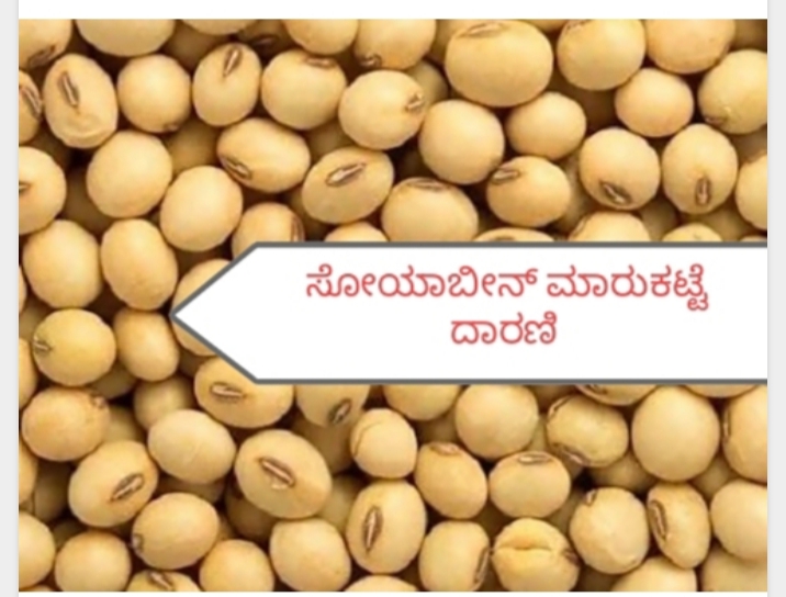 ಸೋಯಾಬೀನ್ ಮಾರುಕಟ್ಟೆ ದಾರಣಿ